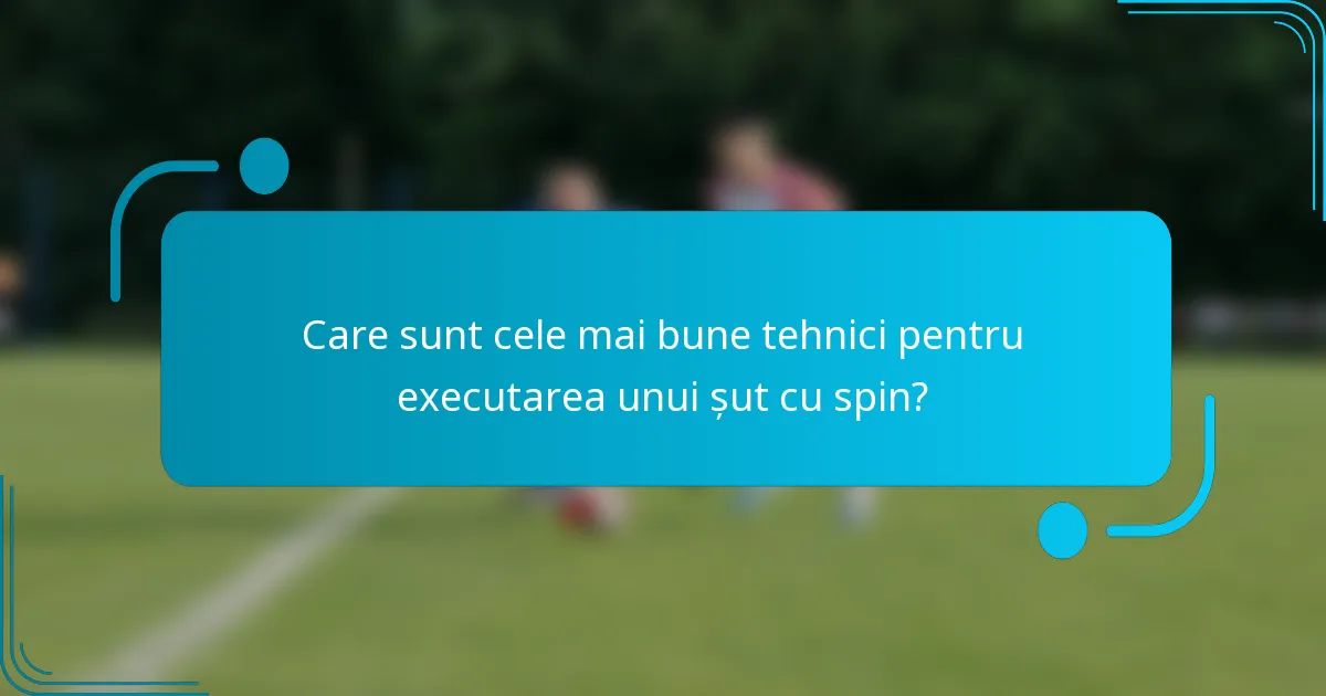 Care sunt cele mai bune tehnici pentru executarea unui șut cu spin?